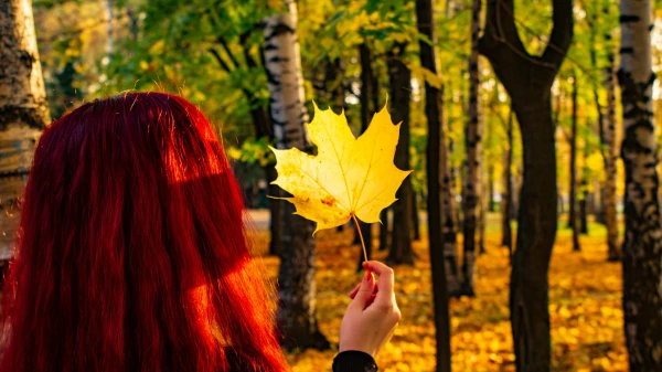 Latvijā pārspēti 20 siltuma rekordi; kļuvis vēsāks