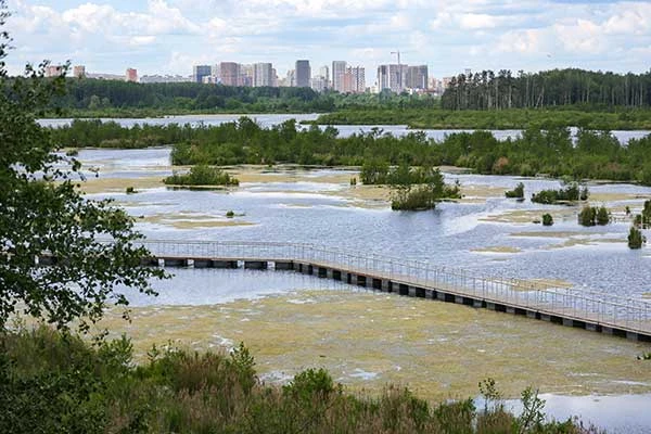 Стройки все ближе подступают к уникальным биотопам.