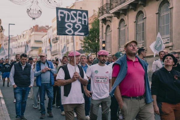 Пурпурные майки - отличие виноделов.