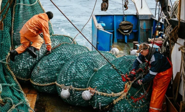 Igaunija un Krievija saskaņojušas nosacījumus zivju nozvešanai Čudskā, Siltajā un Pleskavas ezerā
