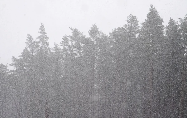 Latvijā sākusies meteoroloģiskā ziema