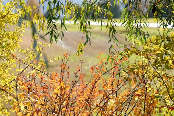 Laika prognoze otrdienai iepriecināja