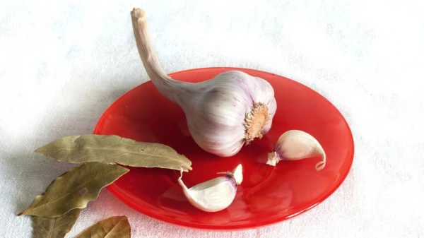 Princese Eugenija pastāstīja par savu mīlestību pret aizliegtu produktu pilī