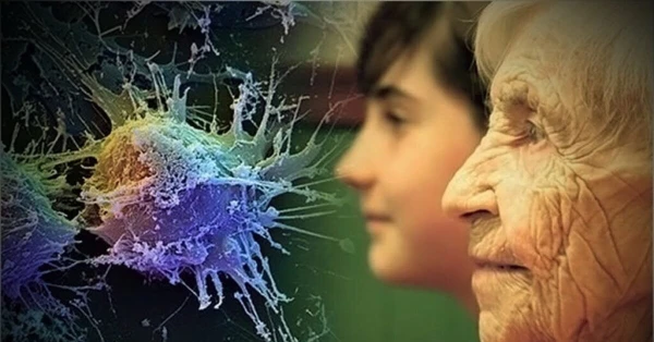 Ārsti izskaidroja, kāpēc iekaisums paātrina organisma novecošanu