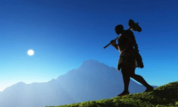 Яркое солнышко не радовало диких трудящихся.