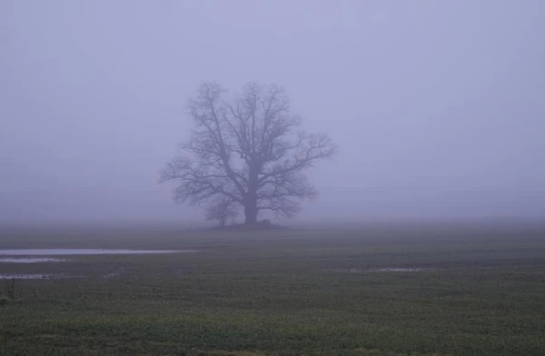 Līdz +8! Ziemai jau apnicis un tā ņem brīvdienu!