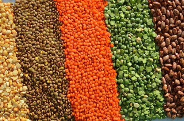 Terapeits nosaucis produktu, kas veicina cukura un svara samazināšanu