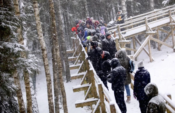 Līgatnes dabas takās nakts pārgājienos varēs iepazīt dzīvnieku dzīvi tumsā