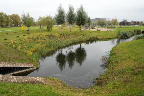 Pērn lielākā daļa Rīgas apkaimju nav tikusi pie jauniem kokiem