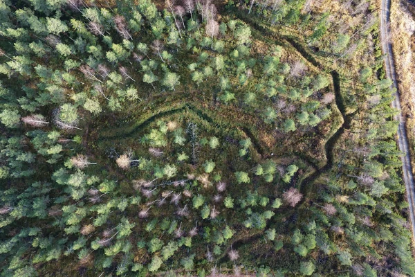 Главная проблема климатической политики государства сейчас связана с сектором землепользования, который из поглотителя выбросов превратился в их источник.