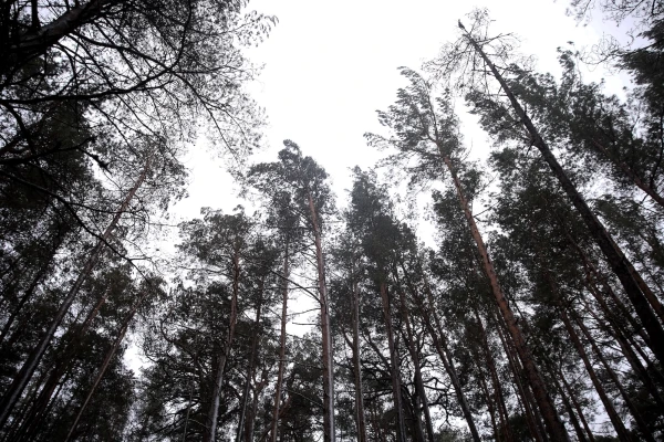 Piektdien pēc siltas nakts laiks mainīsies