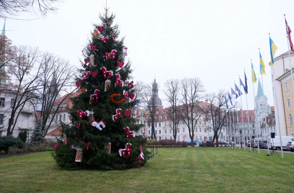 Brīvdienas būs salnas. Un kas pēc tam? Atkal «mūžīgais novembris»?