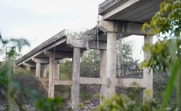 Разрушаются немногие коммуникации в непроходимых джунглях.