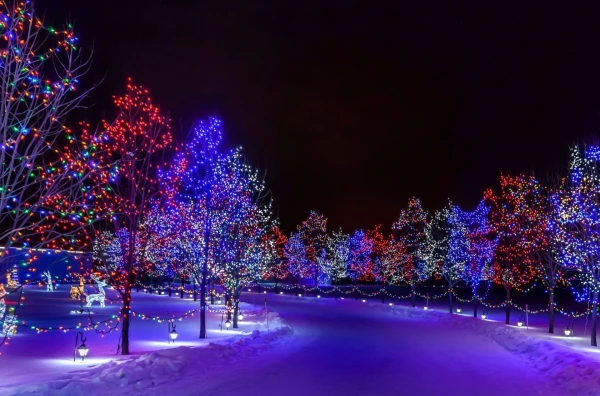 Sinoptiķi nosauca astronomiskās ziemas sākuma datumu Latvijā