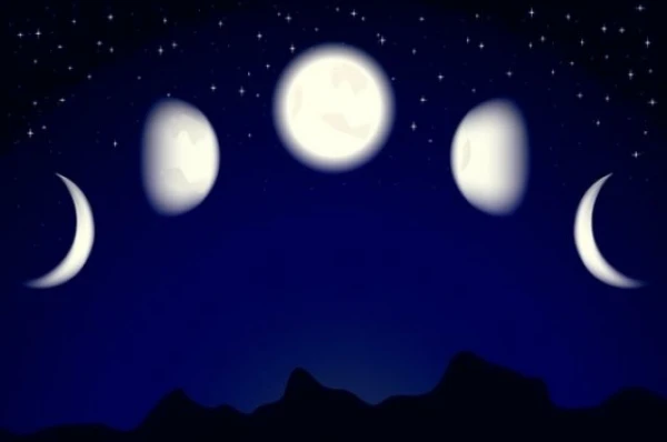 Kā Mēness fāzes ietekmē augus?