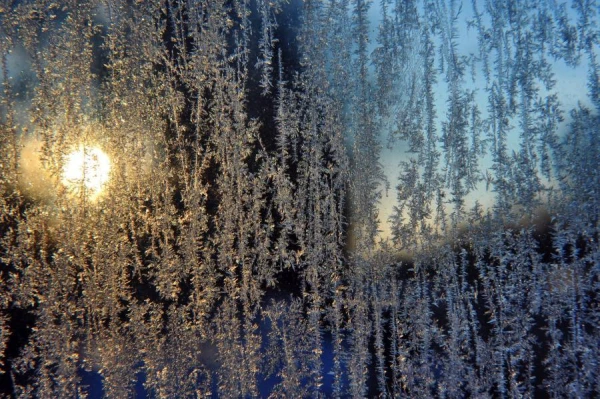 Latvija saņēmusi prognozi Ziemassvētku nedēļai: sals līdz −10. Bet kā ar sniegu?