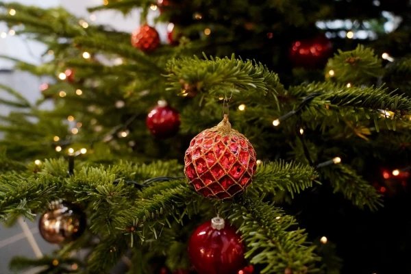 Šonedēļ pēc īslaicīga aukstuma atgriezīsies siltāks gaiss