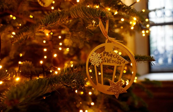 Gadumijā un janvārī prognozē sniegu un salu