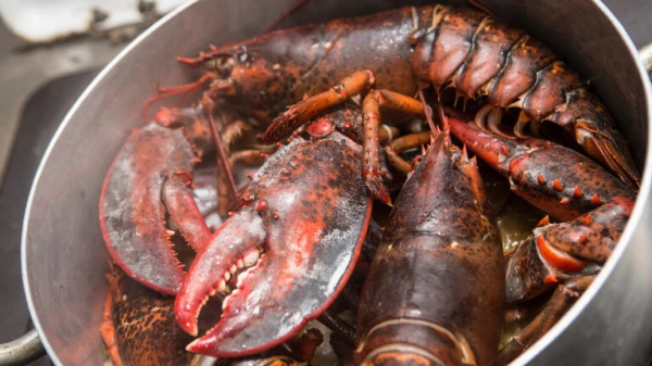 Вероятно, в Лондоне вспомнили мультик про Губку Боба.