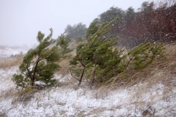Latvijā gaidāms stiprs vējš — LVĢMC brīdina iedzīvotājus