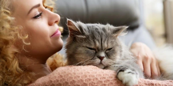 Kāpēc kaķiem un suņiem patīk, kad tos glauda?