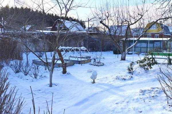 Kā efektīvi saglabāt mitrumu dārza zemes gabalā