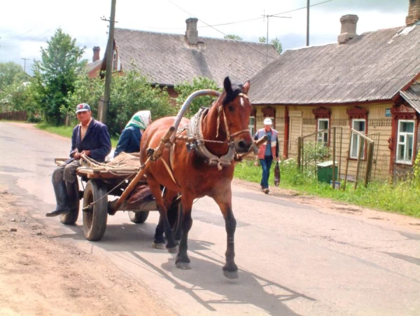 Latgalē ciematos palikuši tikai veci cilvēki — ķirurgs
