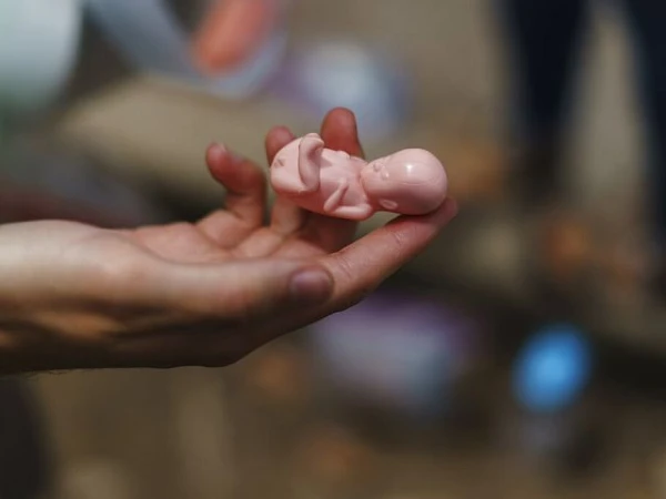 Исследователи смогли своего рода "услышать" химический диалог между эмбрионом и слизистой оболочкой матки.