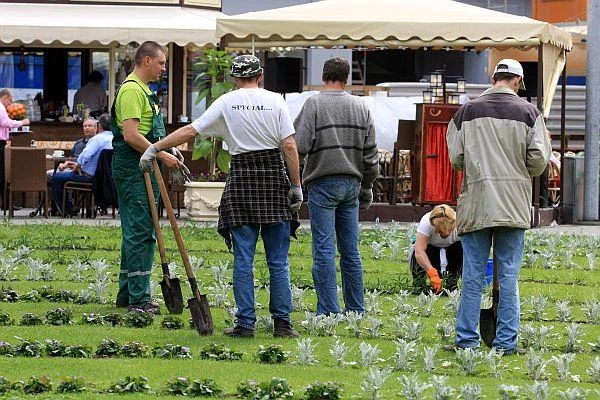 Vairāk nekā 7000 bezdarbnieku darba meklējumos bijuši četrus gadus un ilgāk