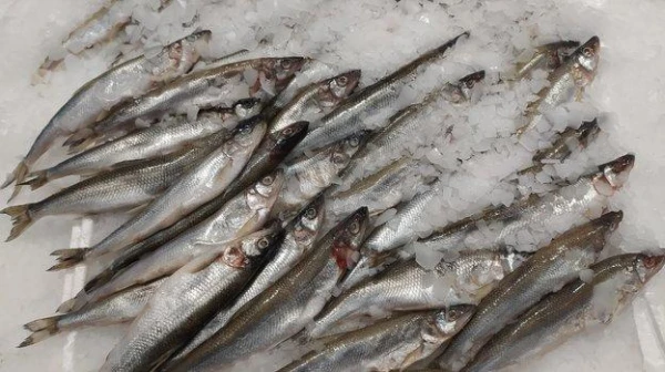 Kā pareizi uzglabāt zivis, lai izvairītos no nepatīkamas smakas ledusskapī