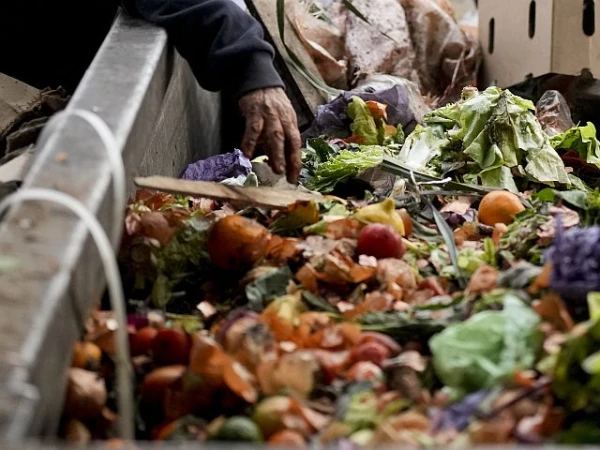 В жарком климате пищевые отходы быстро портятся.