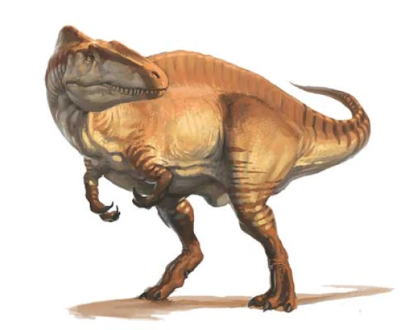 Cik ilgi dinozauri auga?