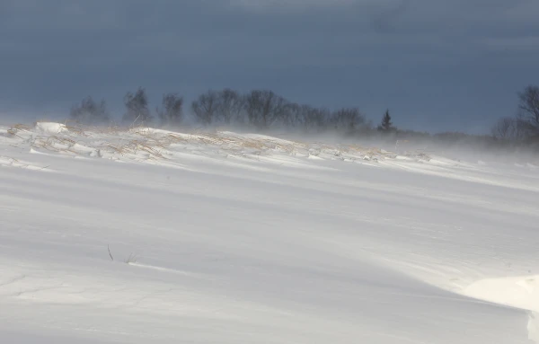 Piektdien, pūšot stindzinošam vējam, gaidāms sniegvilksnis