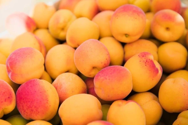 Pasaules aprikožu diena: kad un kāpēc šis auglis tiek uzskatīts par veselīgu