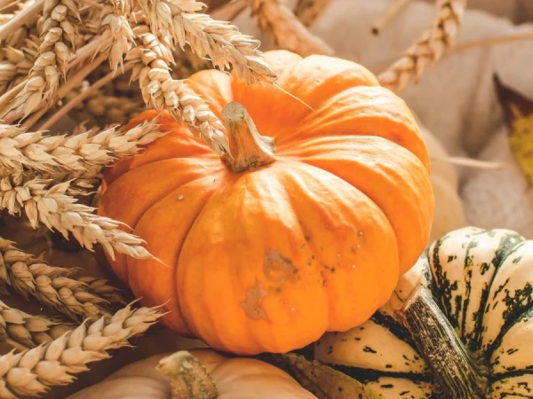 Ķirbja kaitējums: kam būtu jāizvairās no šī produkta?