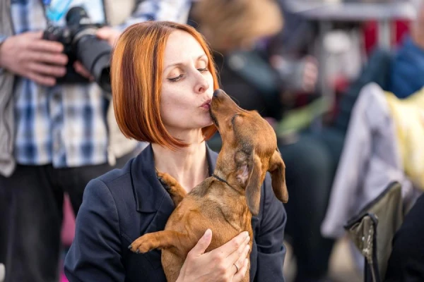 Kinologs norādīja uz negaidītu iemeslu, kāpēc cilvēki nolemj iegādāties suņus