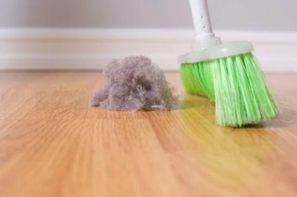 Bīstami kaimiņi: ārste izskaidroja, kādas briesmas rada mājas putekļu ērcītes