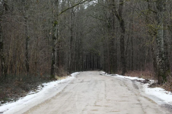 Apledo Tallinas šosejas posms no Tūjas līdz Ainažiem