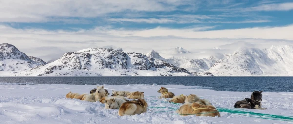 Незаменимый транспорт для путешествий по снегу и льду.