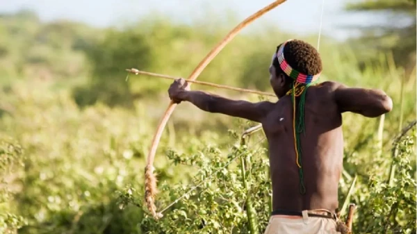 Zinātnieki izpētījuši indes, ko izmantoja Āfrikas mednieki pirms 60 000 gadiem