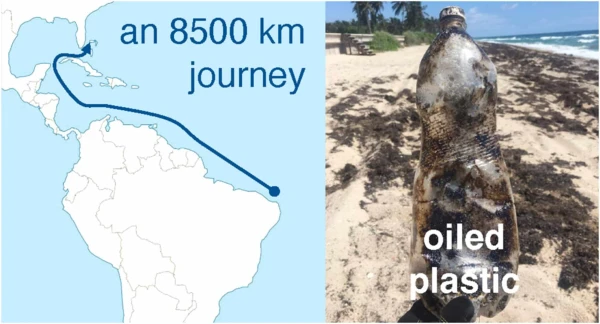 Долгий путь мусора.