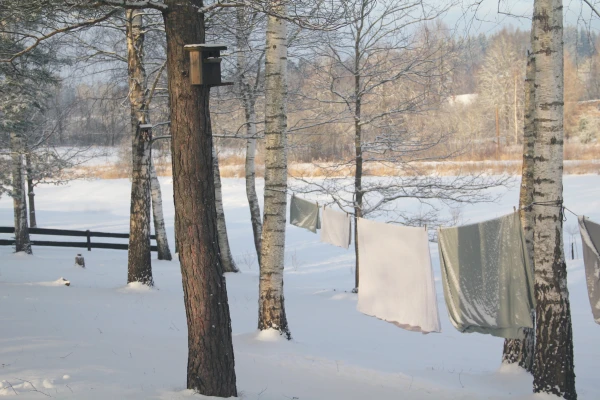 Otrdien vietām gaisā uzkrāsies apkures un transporta radītais piesārņojums