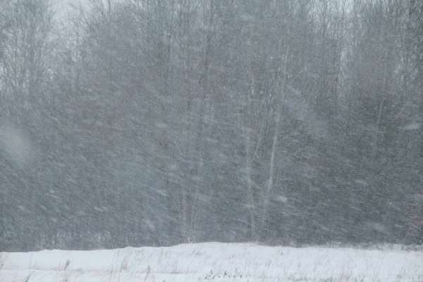 Trešdienas vakarā Kurzemē sāksies sniegputenis