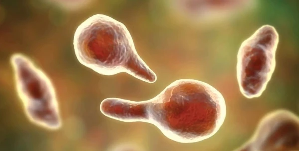 Starptautiskajā kosmosa stacijā (SKS) kaut kas dīvains noticis ar vīrusiem: tie kļuvuši bīstamāki