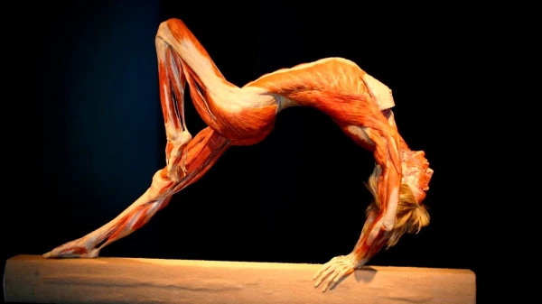 Cilvēka ķermeņa noslēpumi, kurus zinātne līdz šim nav atklājusi