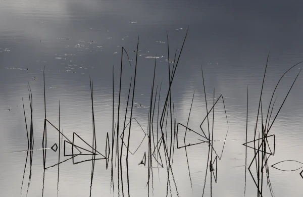 Dabas parkam «Doles sala» izstrādās jaunu dabas aizsardzības plānu