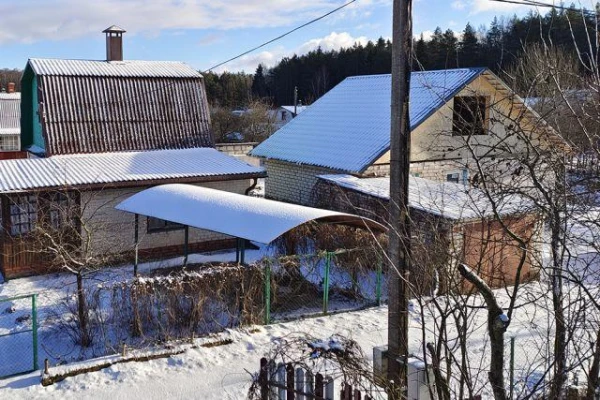 Kādi sali apdraud augļu kokus?