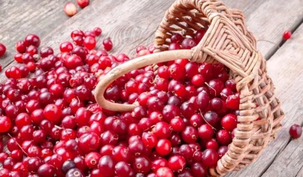Pārtikas produkti, kas palīdz novērst šķidruma aizturi organismā