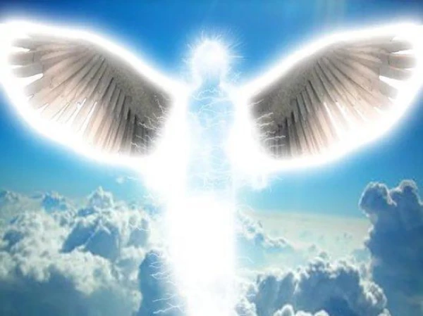 Hārvardas zinātnieks paziņo, ka atradis paradīzi, un norāda tās atrašanās vietu