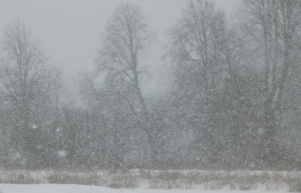 Nākamnedēļ palaikam snigs, iespējama arī atkala